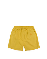Hikerdelic Beach Shorts Citronelle