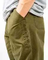 Hikerdelic Worker Pant Lichen Green