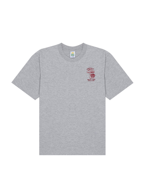 Hikerdelic 5 a Day SS T-Shirt Grey Marl