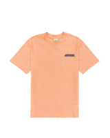 Hikerdelic Blotter T-Shirt Coral