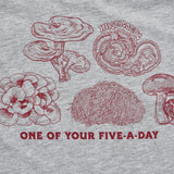 Hikerdelic 5 a Day SS T-Shirt Grey Marl
